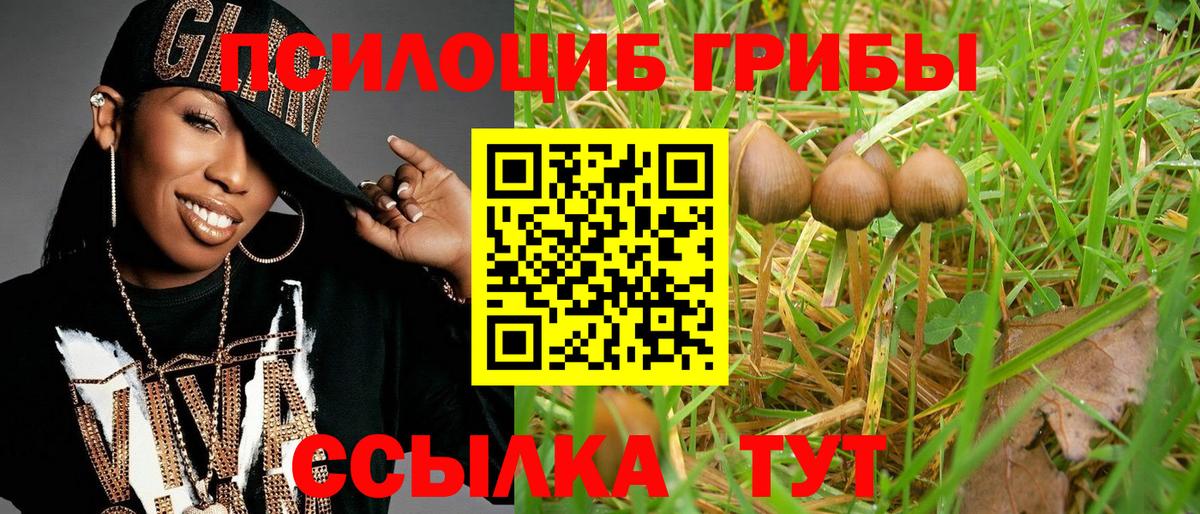 Галлюциногенные грибы мицелий Красноуфимск