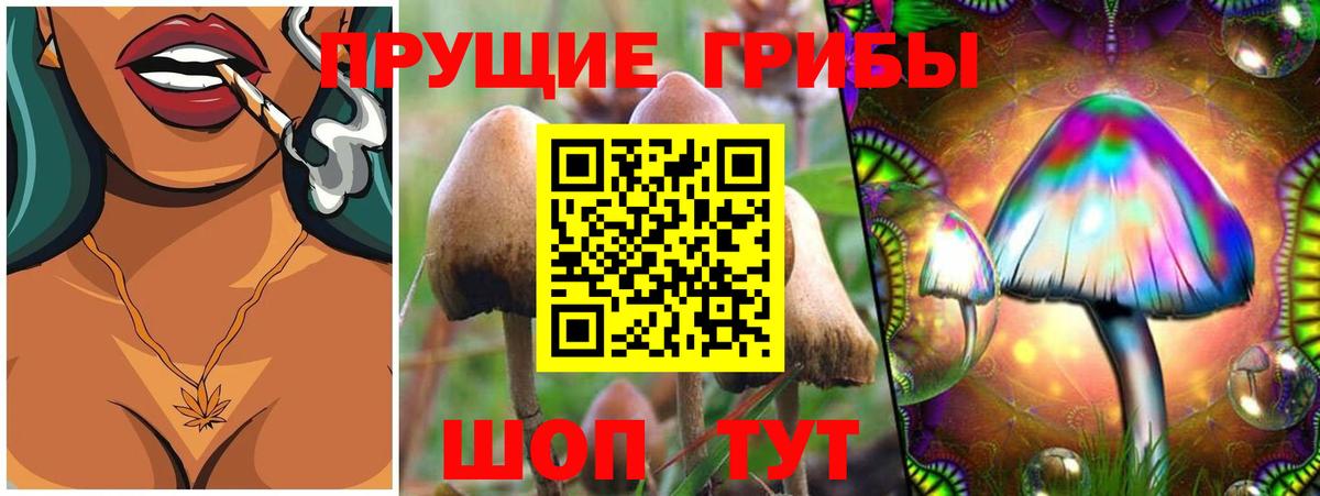 Псилоцибиновые грибы Cubensis  как найти   Красноуфимск  Вход с VPN 